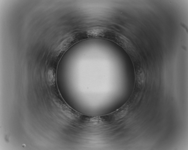 X0000102830420200808251138