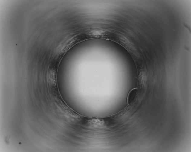 X0000102830421200808251138