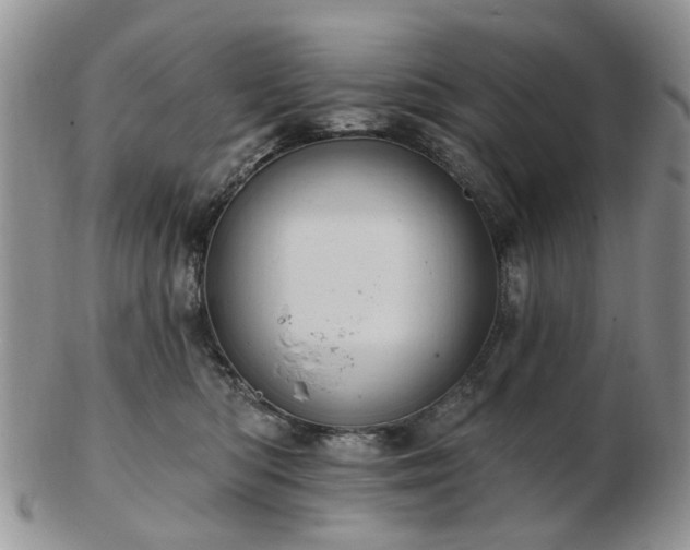 X0000102830422200808251138