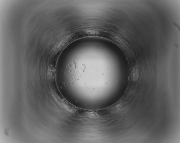 X0000102830424200808251138