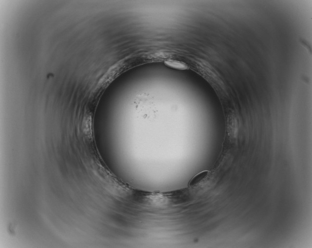 X0000102830425200808251138