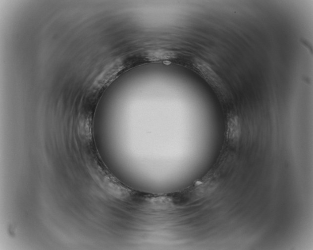 X0000102830426200808251138