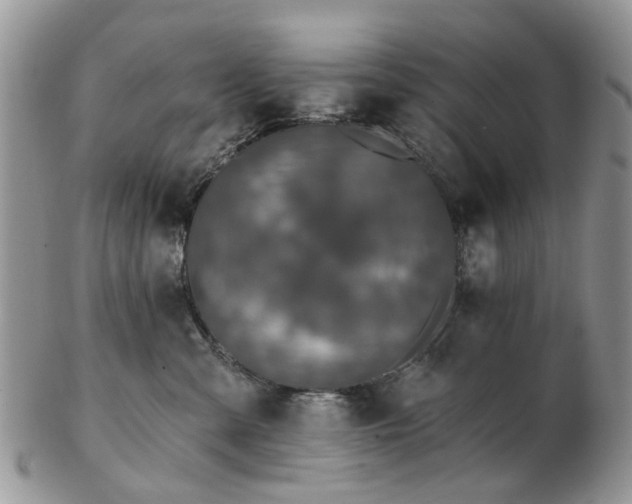 X0000102830427200808251138