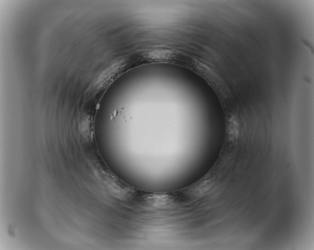 X0000102830428200808251138