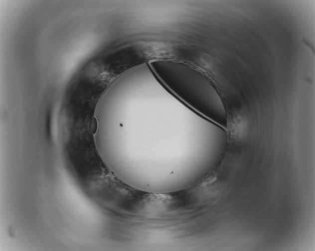 X0000102830429200808251138