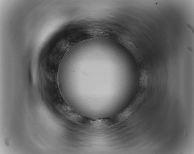 X0000102830430200808251138