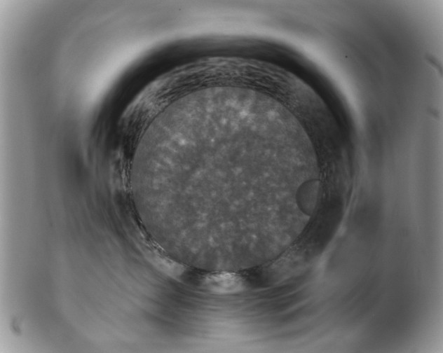 X0000102830431200808251138