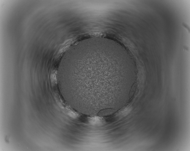 X0000102830432200808251138