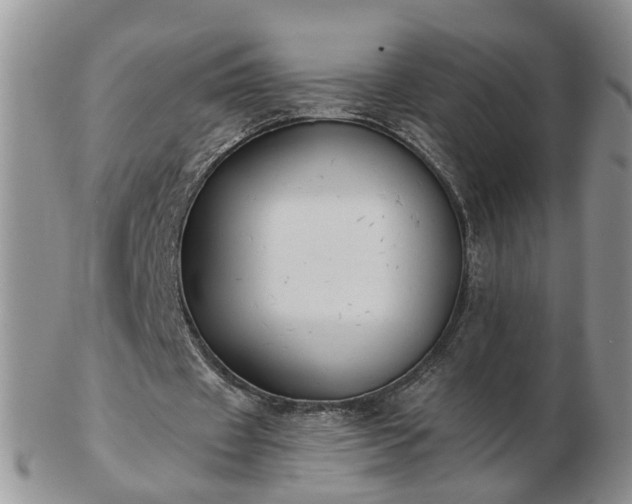 X0000102830433200808251137