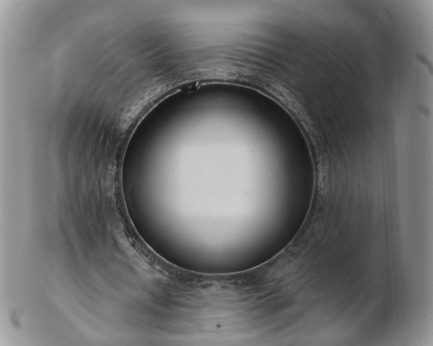 X0000102830434200808251137