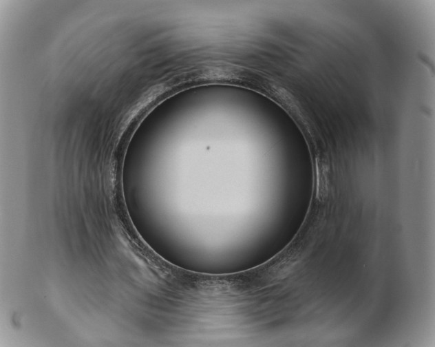 X0000102830435200808251137