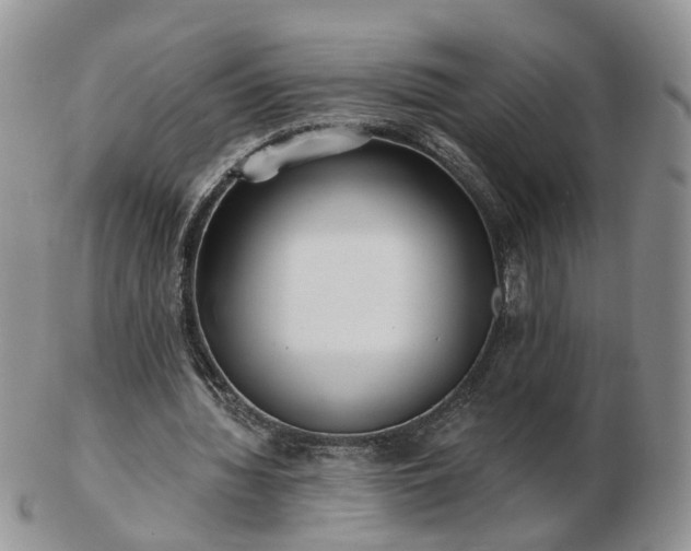 X0000102830436200808251137