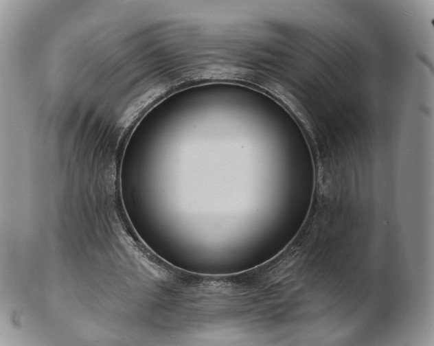 X0000102830437200808251137