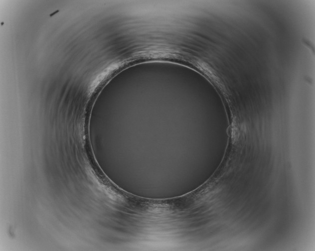 X0000102830438200808251137