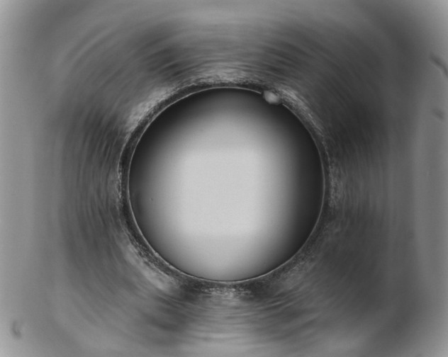 X0000102830439200808251137