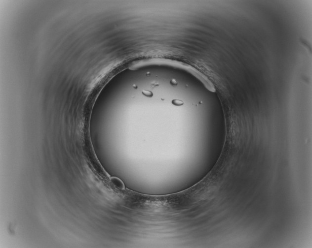 X0000102830440200808251137