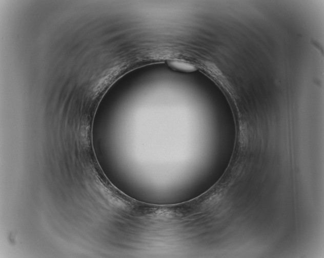 X0000102830441200808251137