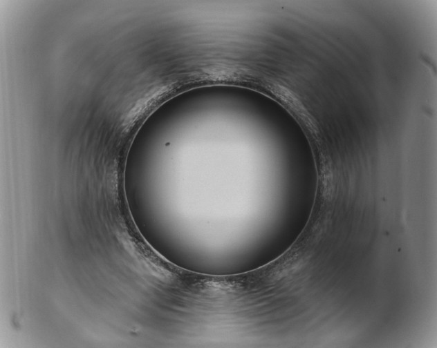 X0000102830442200808251137