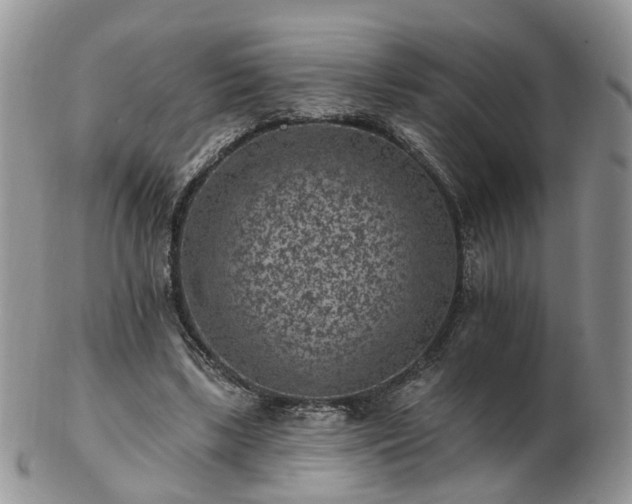 X0000102830443200808251137