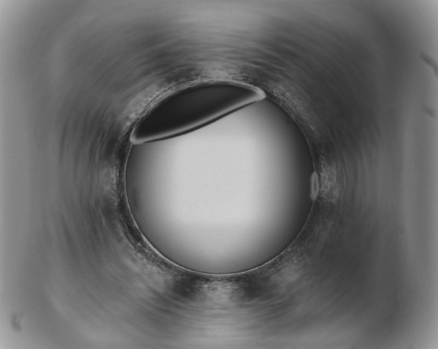 X0000102830444200808251137