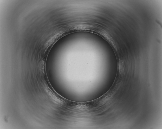 X0000102830445200808251137