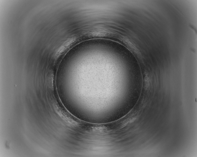 X0000102830446200808251137