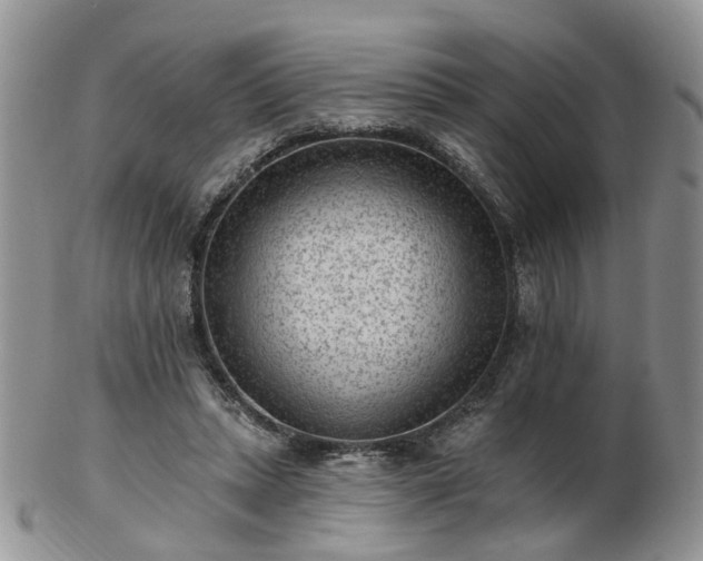 X0000102830447200808251137