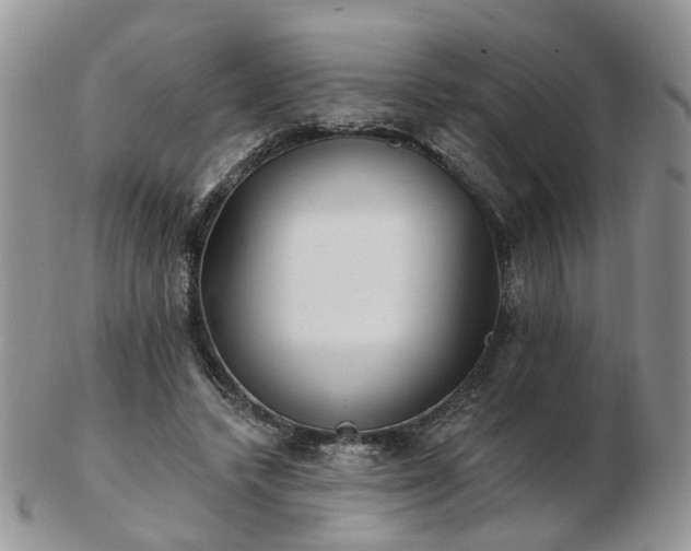 X0000102830448200808251137