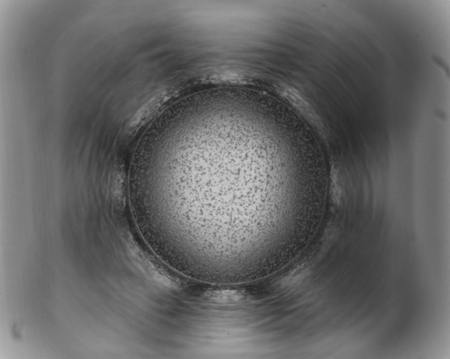 X0000102830449200808251137