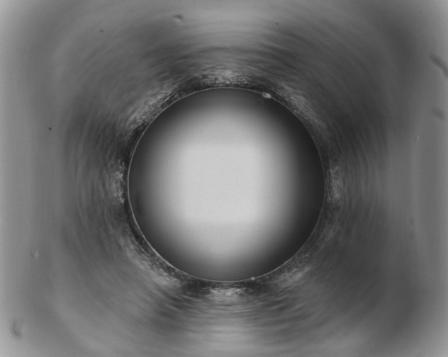 X0000102830450200808251137