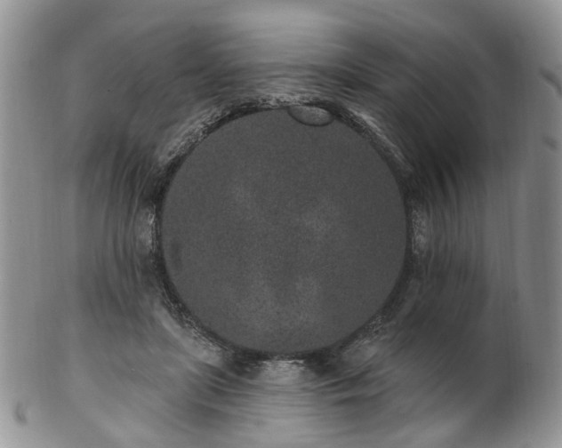 X0000102830451200808251137