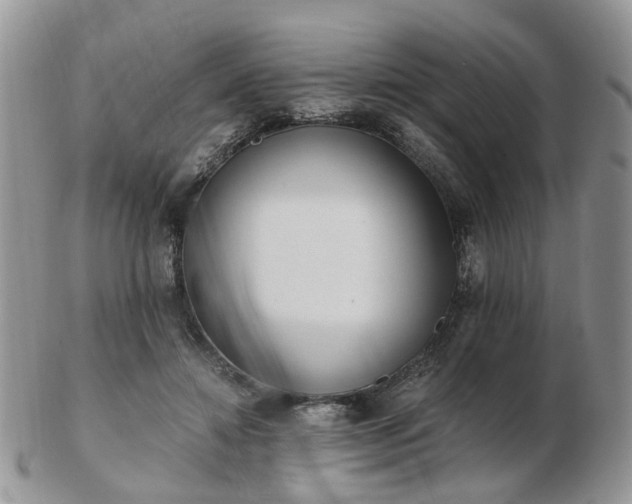 X0000102830452200808251137