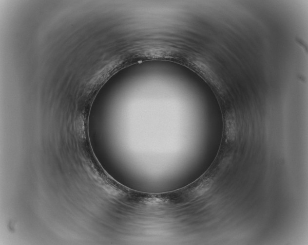 X0000102830453200808251137