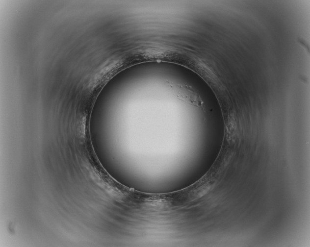 X0000102830454200808251137