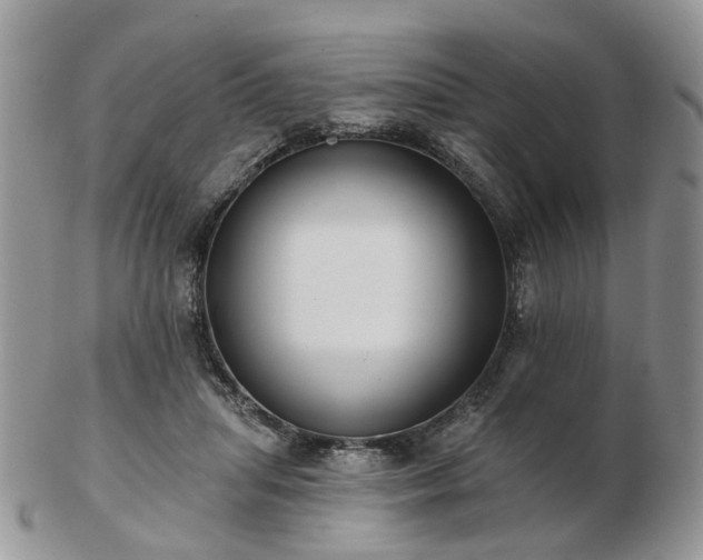 X0000102830455200808251137