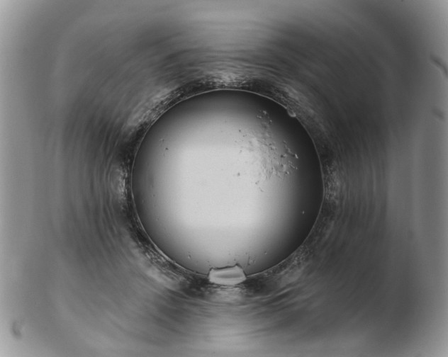 X0000102830456200808251137