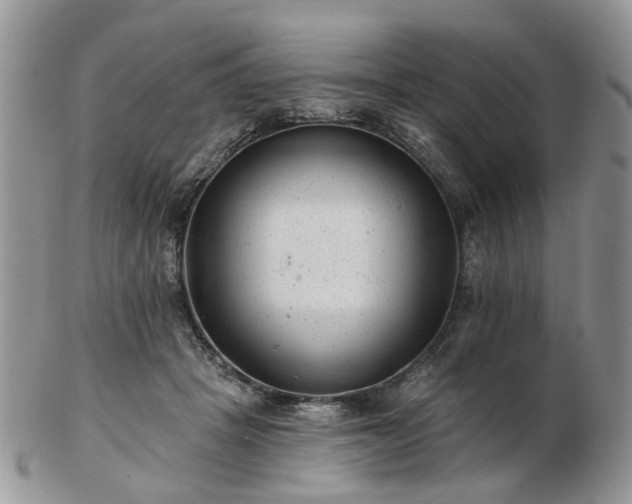 X0000102830457200808251137