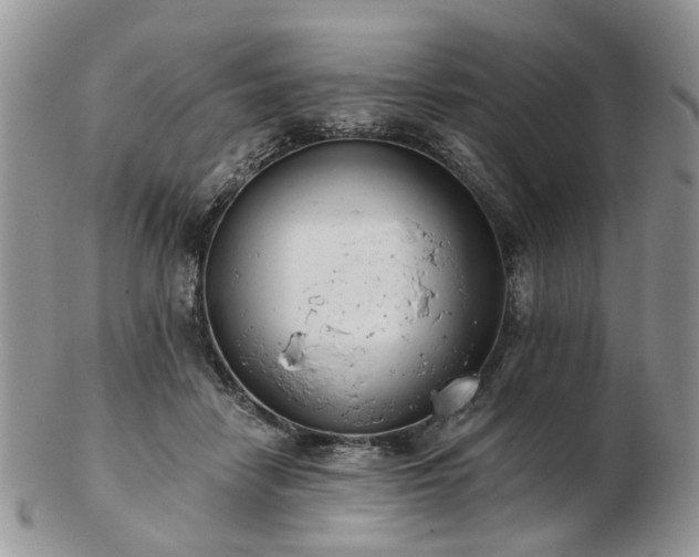 X0000102830458200808251137