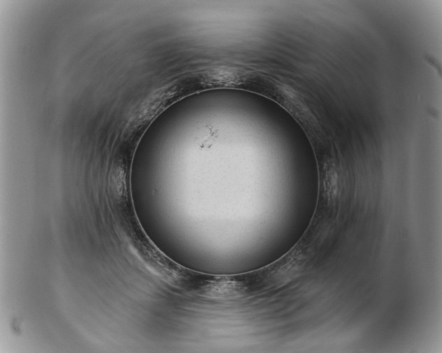 X0000102830459200808251137