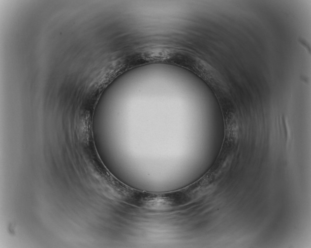 X0000102830460200808251137