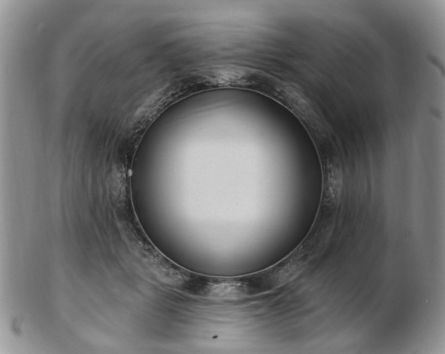 X0000102830461200808251137