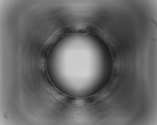 X0000102830462200808251137