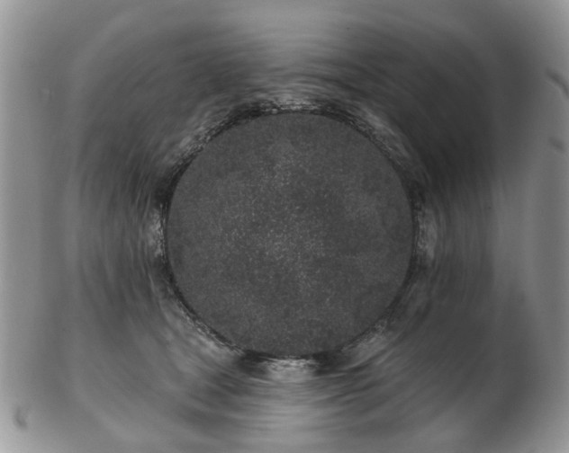 X0000102830465200808251137