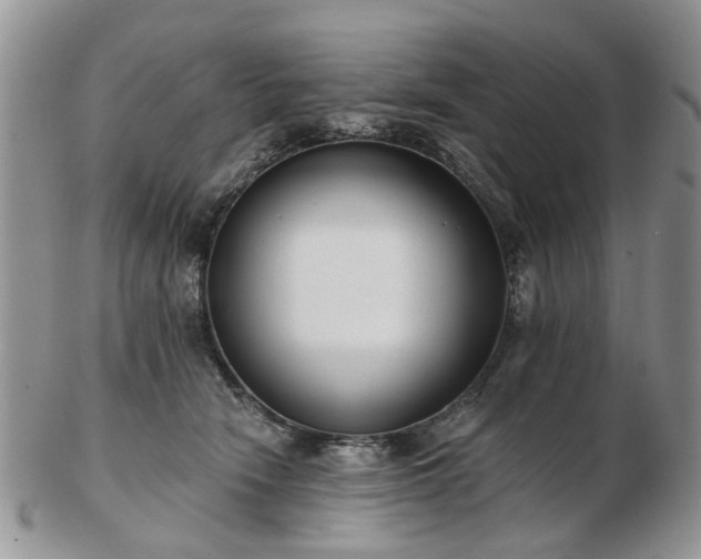 X0000102830466200808251137