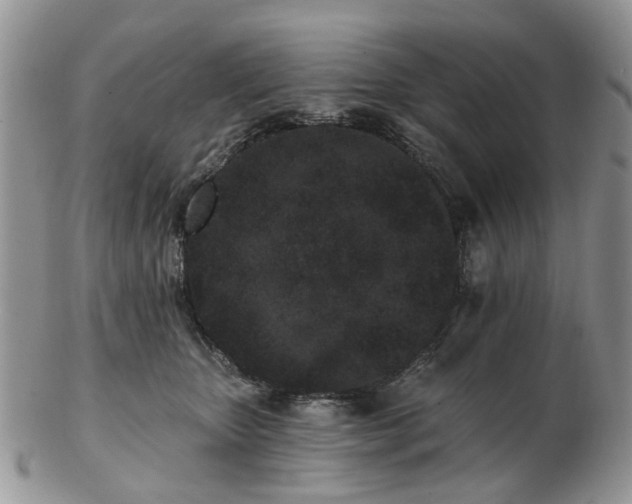 X0000102830467200808251137