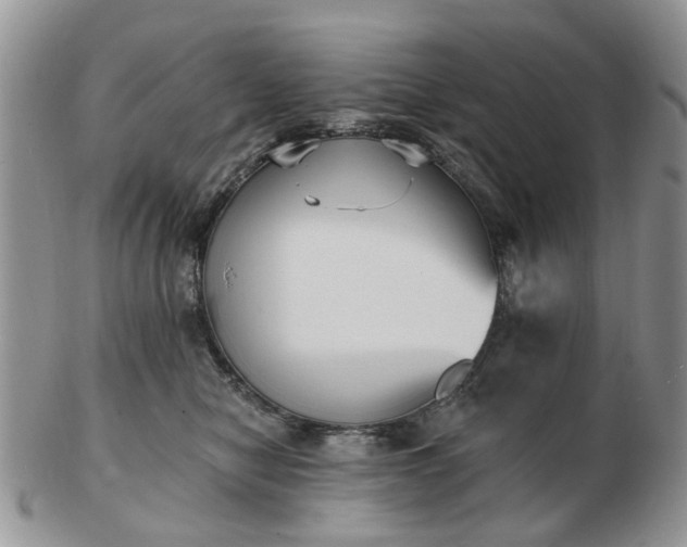 X0000102830470200808251138