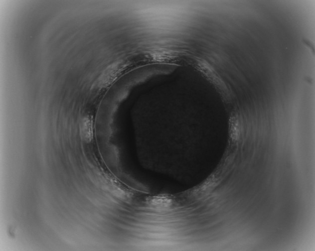 X0000102830471200808251138