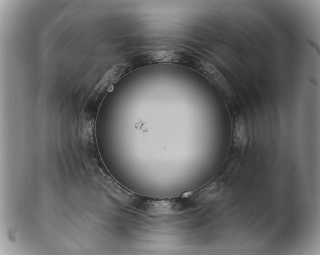 X0000102830473200808251138