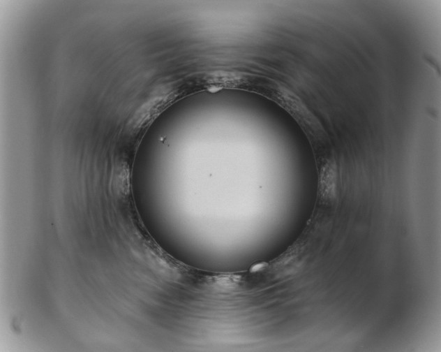 X0000102830474200808251138