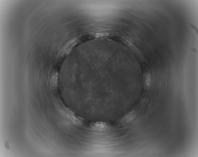 X0000102830475200808251138